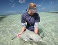 Key West flats fishing for permit